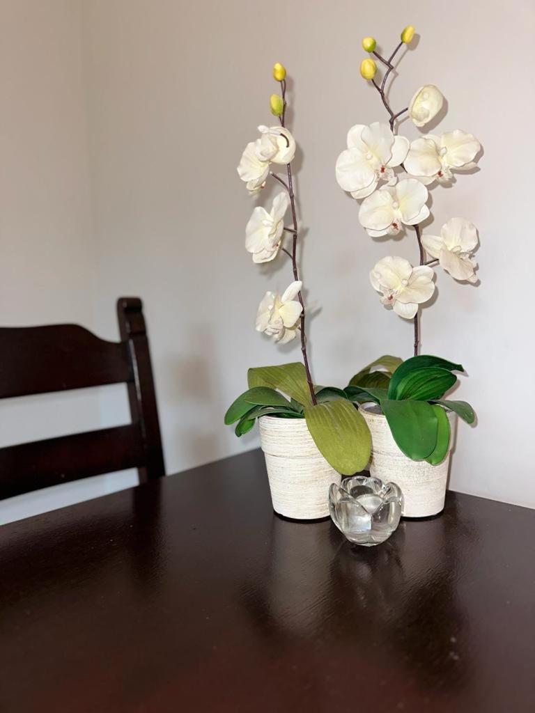 Apartament Przy Rynku Poznan Ngoại thất bức ảnh